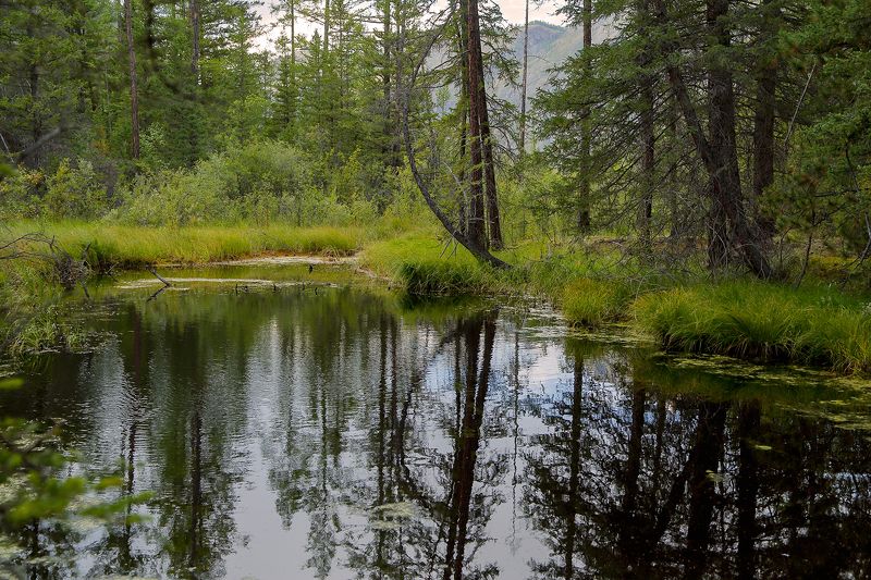 времена годаphoto preview