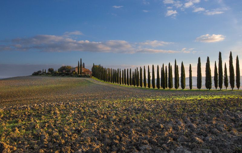 Матушка - земляphoto preview