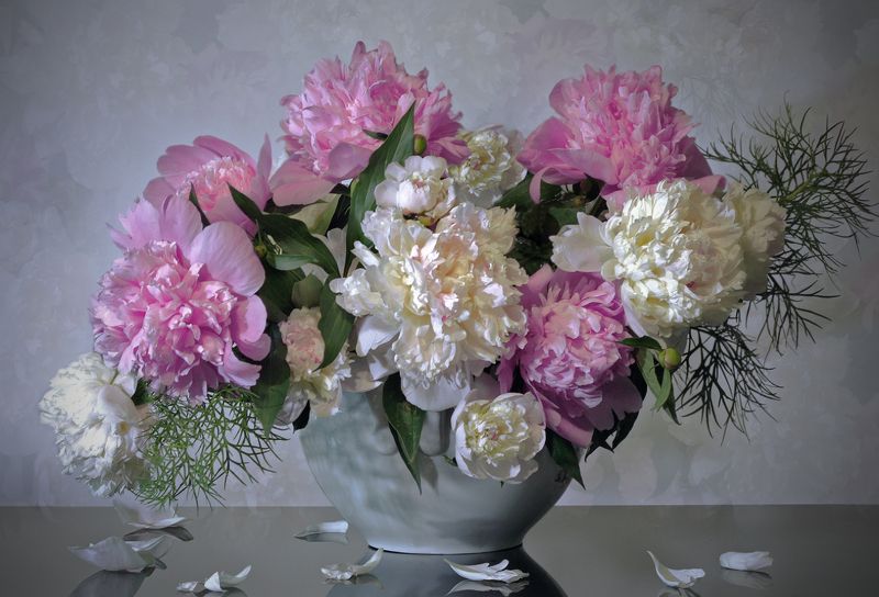 Мои пионыphoto preview