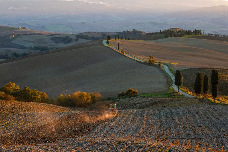 Сельхоз работыphoto preview