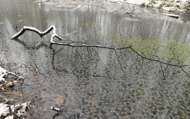 Скоро фото превью