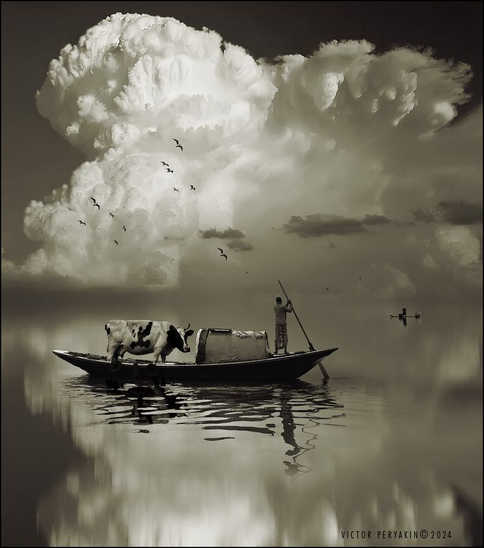 На новое место....photo preview