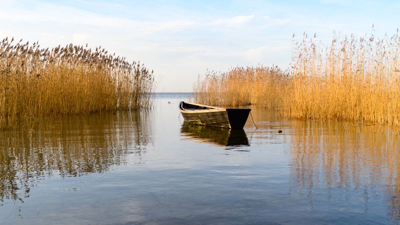калининград, балтийское_море, куршский_залив, осень photo preview