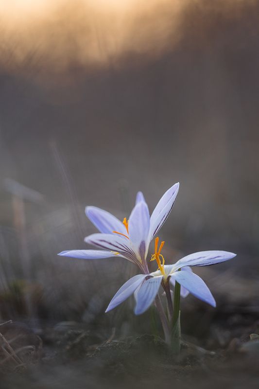 Провожая деньphoto preview