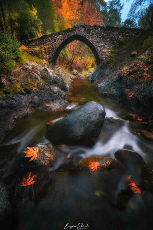 Кипрphoto preview