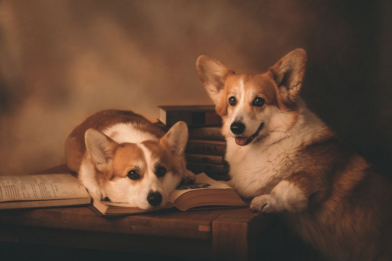 Предъявите формуляр!photo preview