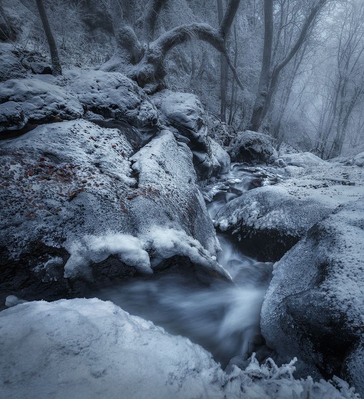 landscape nature scenery forest wood autumn rime mist misty fog foggy river longexposure mountain rocks vitosha bulgaria туман лес oсень Frost, first winter clothes / Мороз, первая зимняя одеждаphoto preview