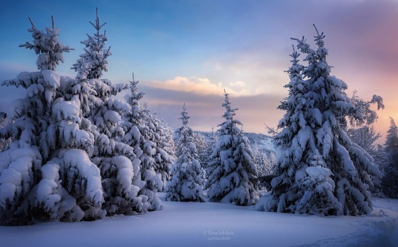 уван, гора уван, челябинская область, зимний лес, зимний пейзаж Морозный вечер в горахphoto preview