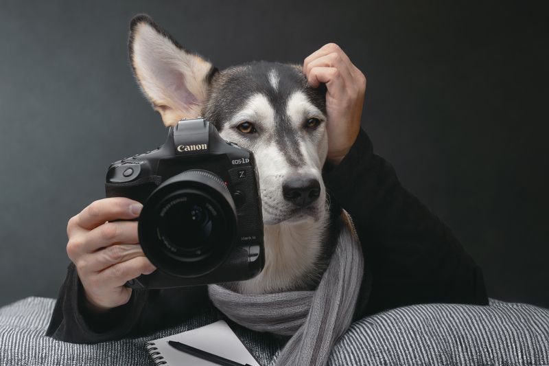 Уставший фотограф...photo preview