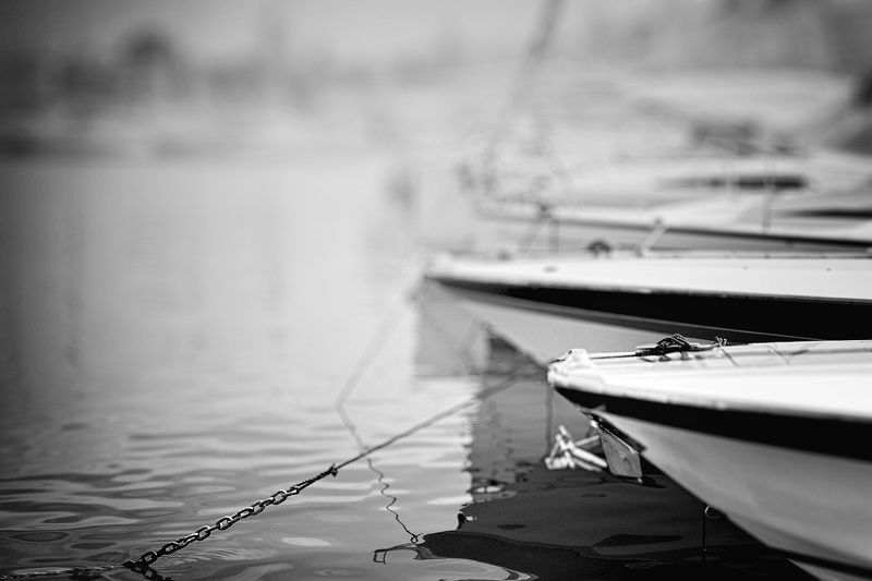 Amarra IIIphoto preview