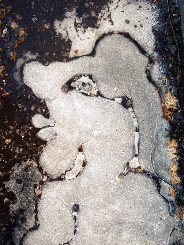 парейдолия Парейдолия (замёрзшая лужа)photo preview