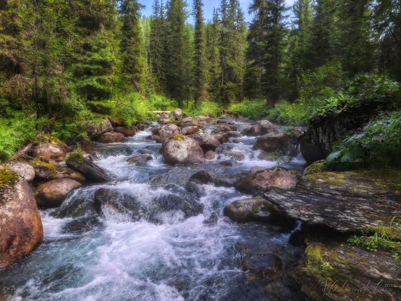 ергаки Весёлый Тушканчик. фото превью