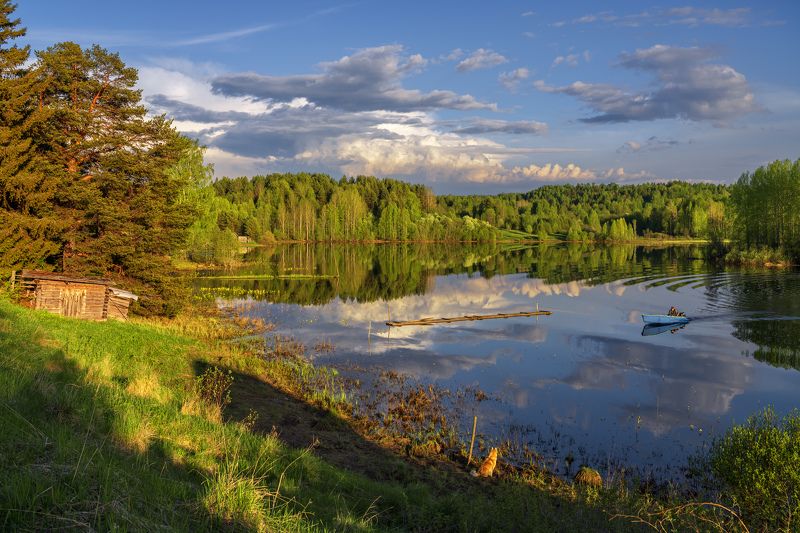 кенозеро, зехнова, май, архангельская область Ждётphoto preview