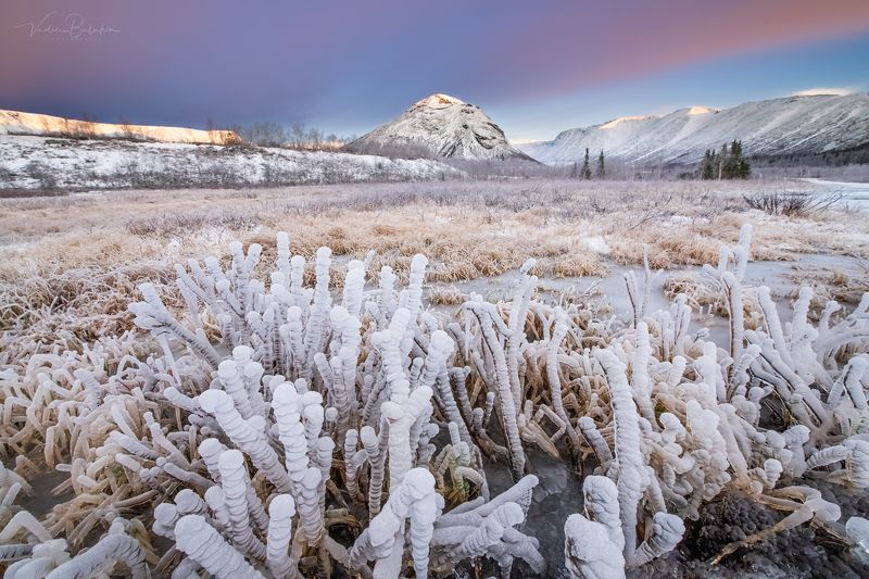 Хибиногорские кораллы фото превью