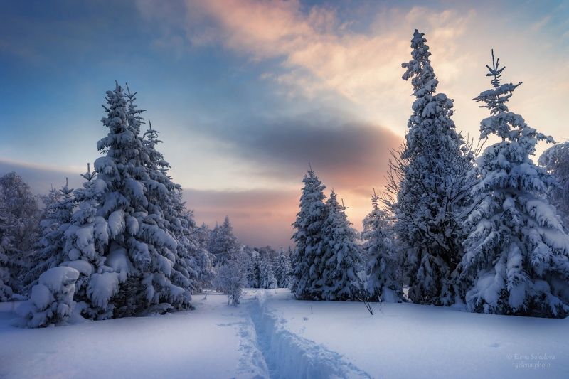 уван, гора уван, челябинская область, зимний лес, зимний пейзаж Зимняя сказкаphoto preview