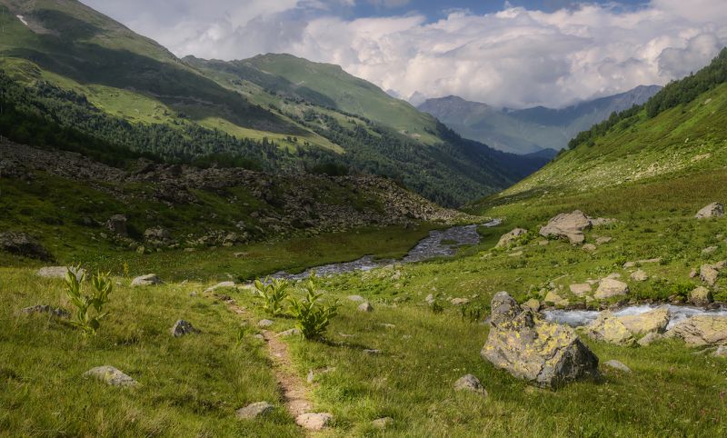 Вдоль реки.photo preview
