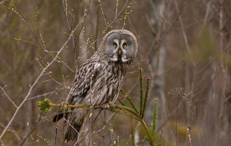 Первая встреча :)photo preview