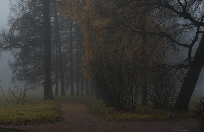 A morning in Novemberphoto preview