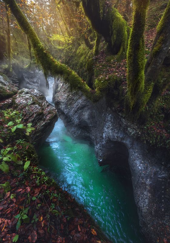 slovenia, longexpo, river, landscape,  sky, trees, mountains, mountainscape, foggy, rocks, landscape, landscapephotography, The Autumn junglephoto preview