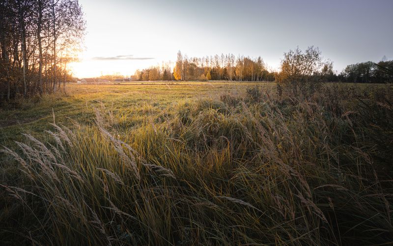 осень Торбеево Осенние истории... фото превью