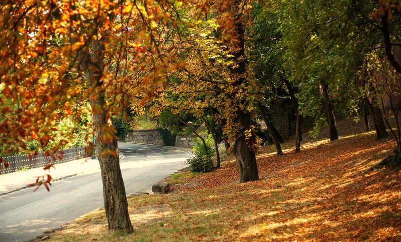 Осень ***photo preview