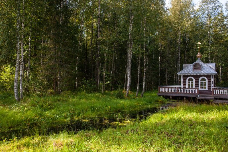 Исток реки Волгаphoto preview