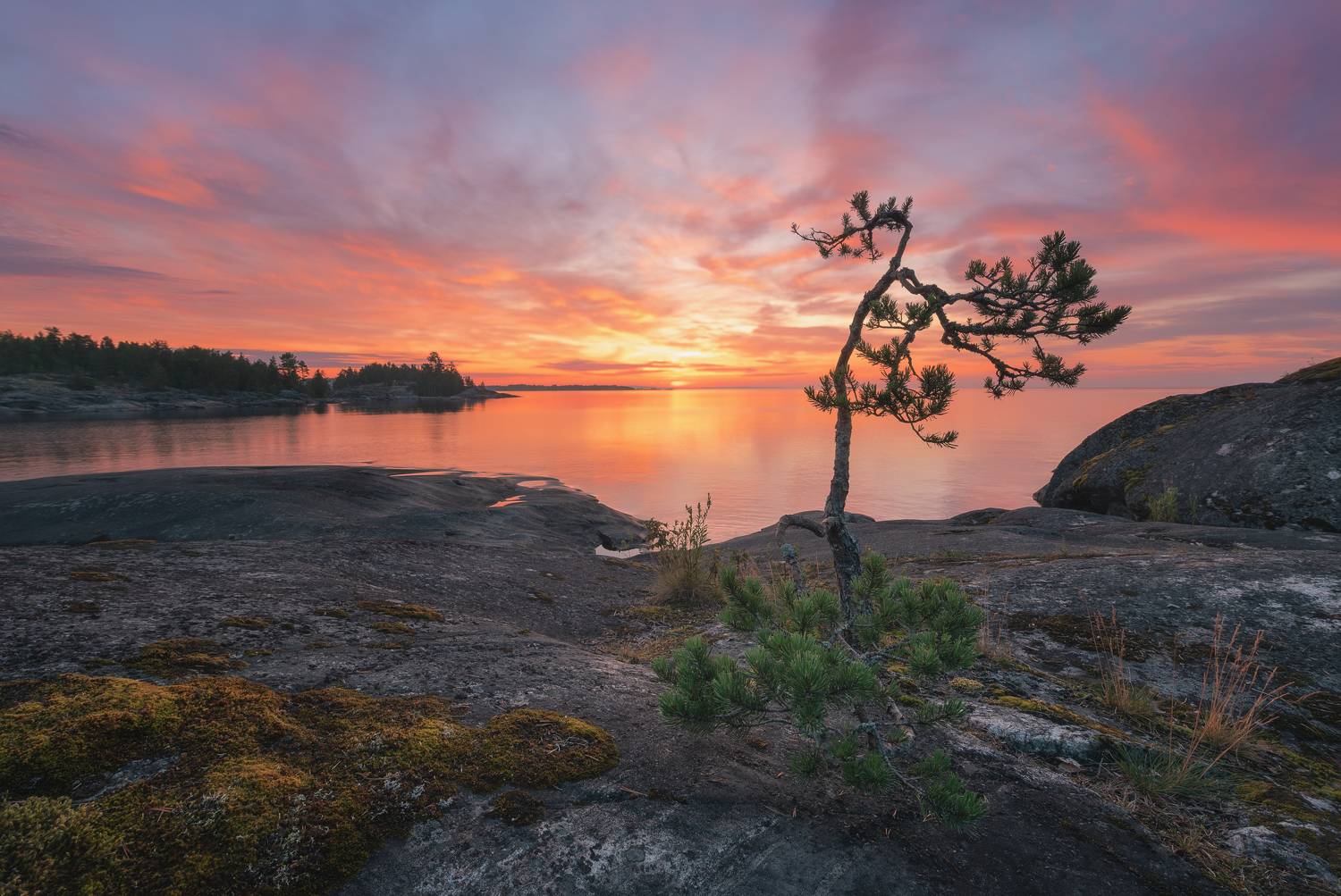 Рассвет на Ладоге. Автор: Igor Abroskin , Igor Abroskin