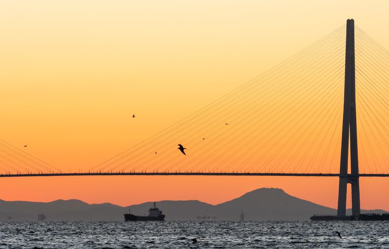 Рассвет с видом на мост Русский… Dawn with a view of the Russian bridge...photo preview