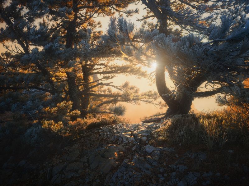 Утро на Ай-Петриphoto preview