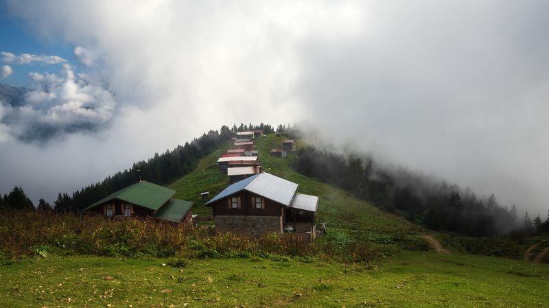 Окутанные туманомphoto preview