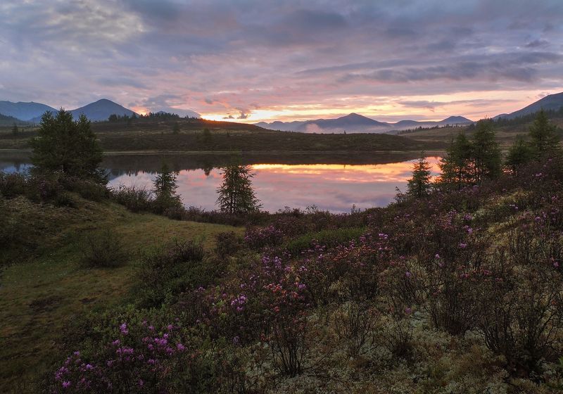 Встречая рассветphoto preview