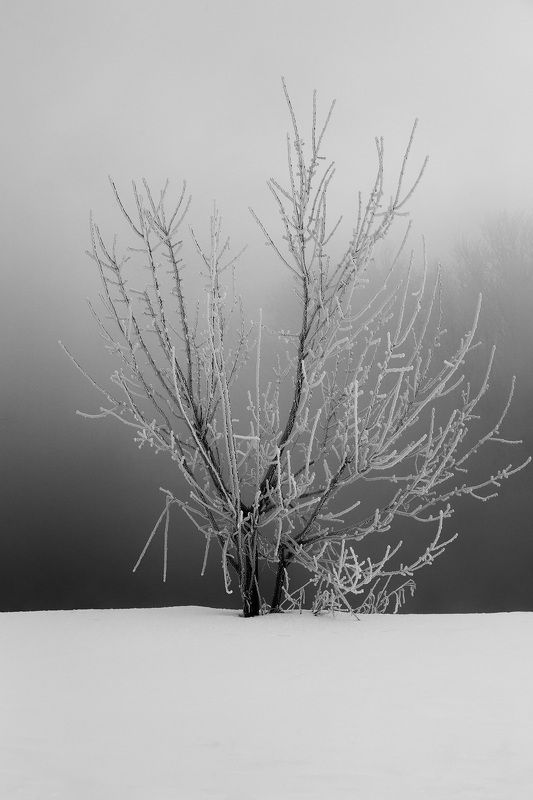 ЧБ, Большой Исток, Урал ЧБ на Большом Истокеphoto preview