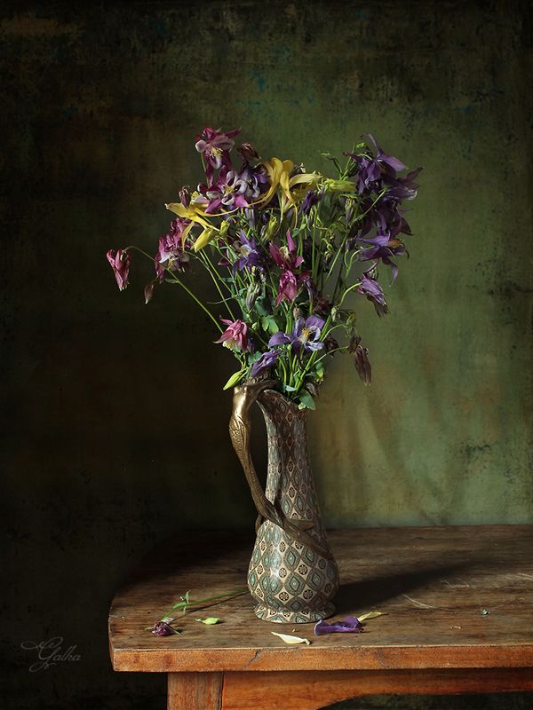 Аквилегии фото превью