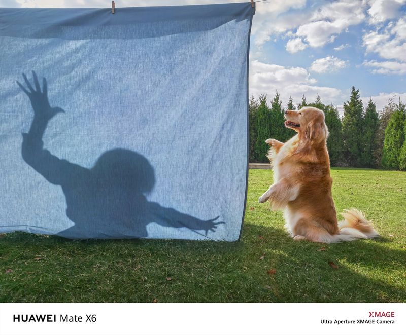 pet happyphoto preview