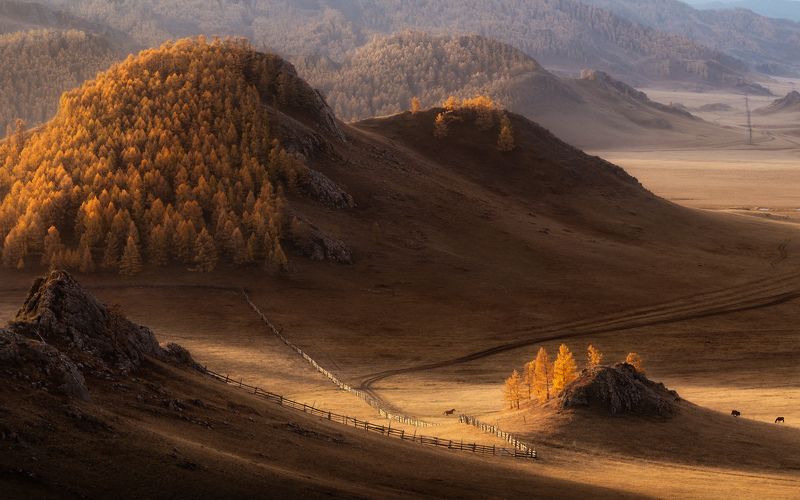 Хроники одного скакунаphoto preview