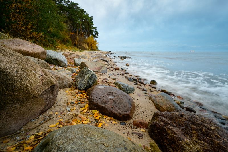 калининград, балтийское_море, осень *photo preview