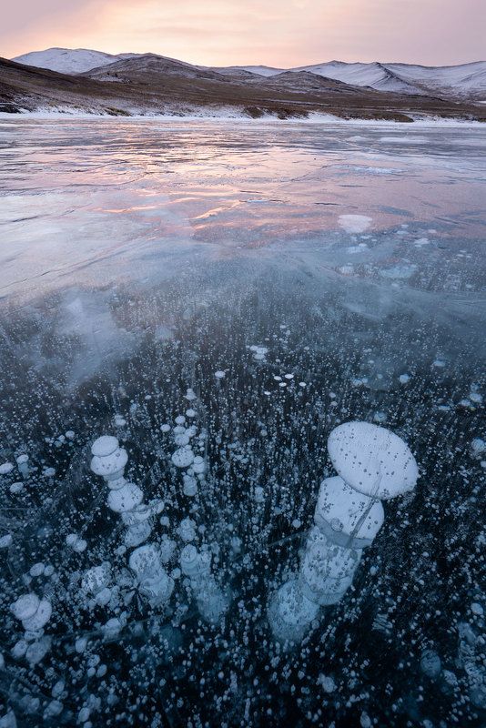 Пузыриphoto preview