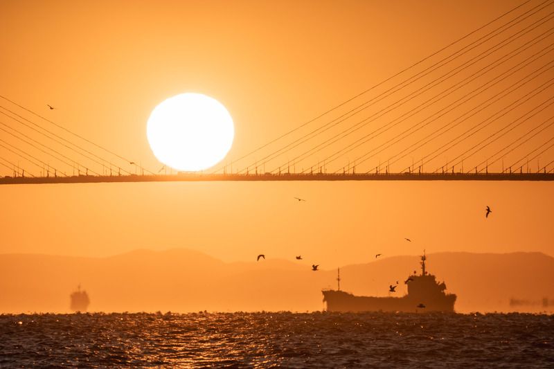 Рассвет с видом на мост Русский… Dawn with a view of the Russian bridge...photo preview