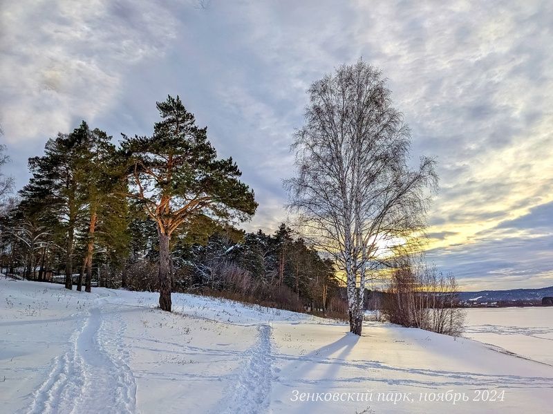 природа, nature, осень, краски_осени, мой_край, сибирь, зенковский _парк, озеро, закат, фото на телефон Почти зимний закатphoto preview