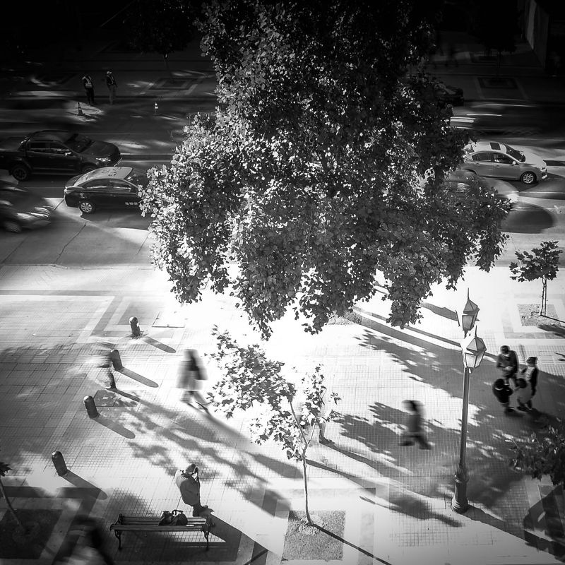 One day the cityphoto preview