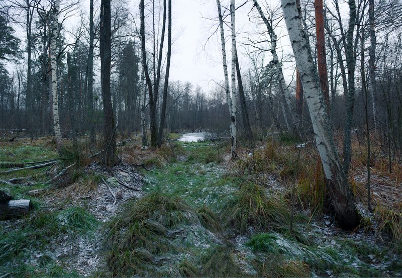 воронеж, озеро черепашье, черепашье, зима, утро, синий час, река, пейзаж, воронежская область, декабрь Озеро черепашье (вид сбоку)photo preview