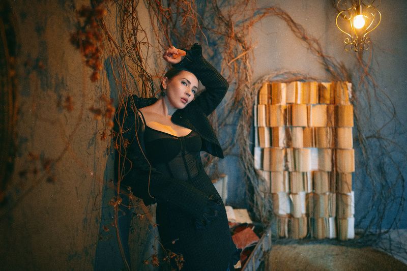 книжная комнатаphoto preview