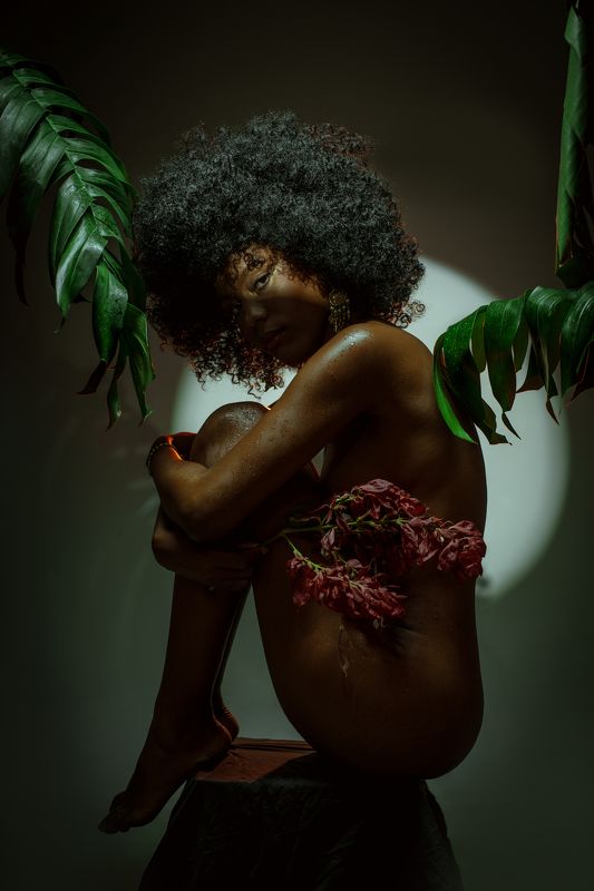 afro, hair, red, studio, nude Dianaphoto preview