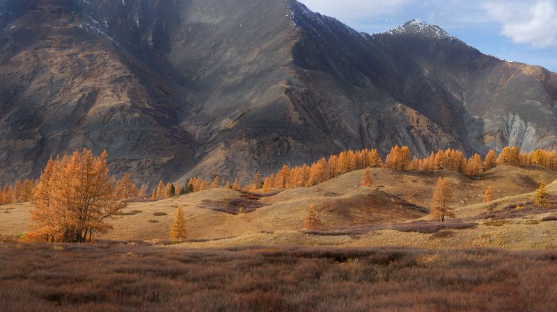 Алтай джазатор осень горы Косогоры-горыphoto preview