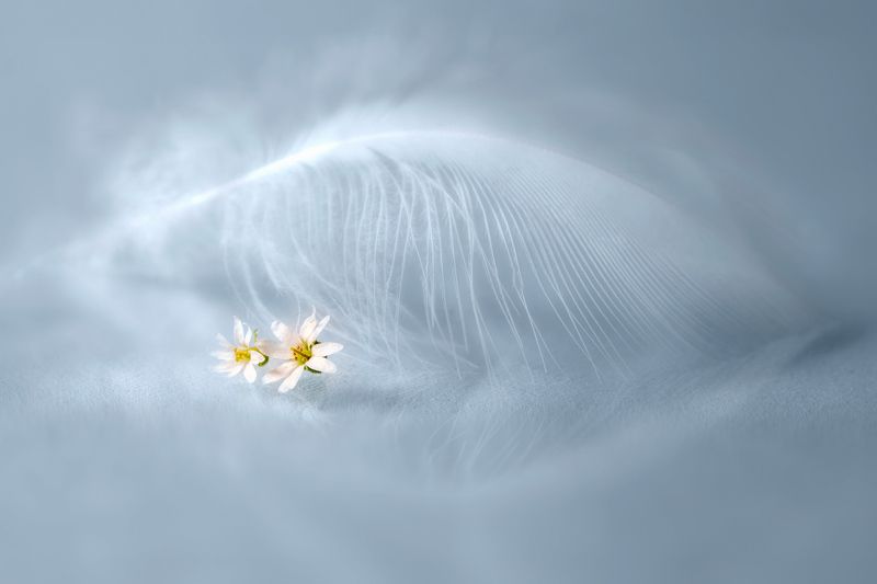 Пробуждение... фото превью