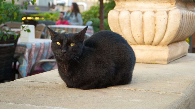 Желтые огонькиphoto preview