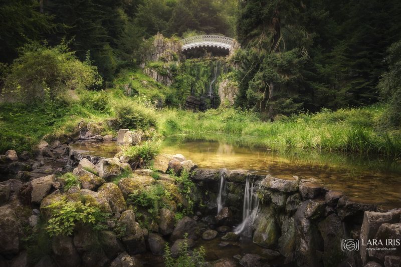 Изумрудное царствоphoto preview