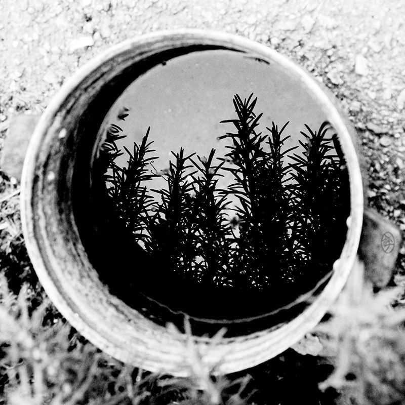 Настой на травахphoto preview