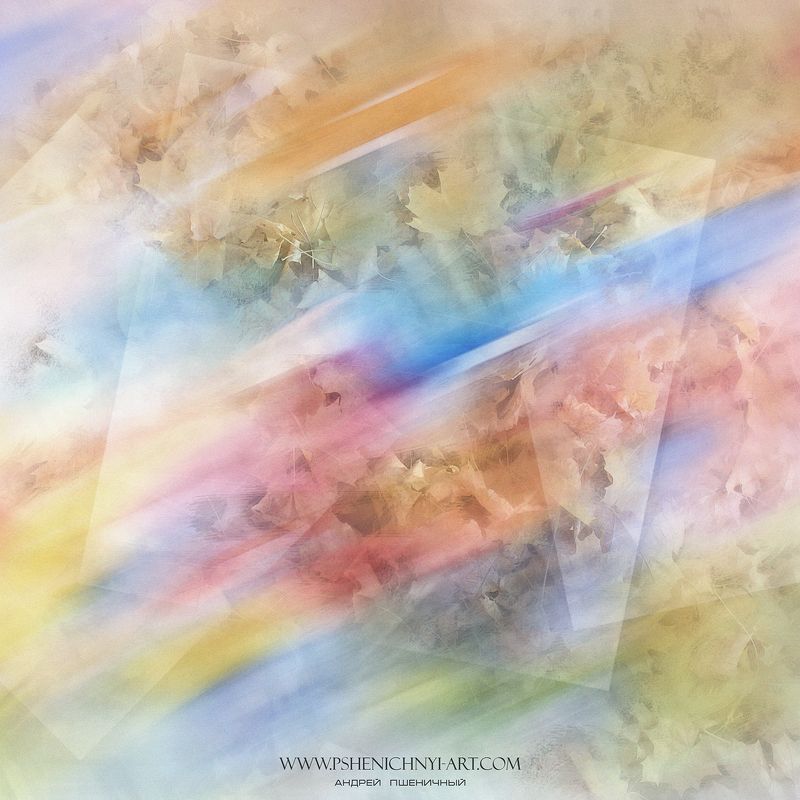 осень, абстракция, кленовые листья, октябрь, опавшая листва, свет Осенняя геометрия фото превью