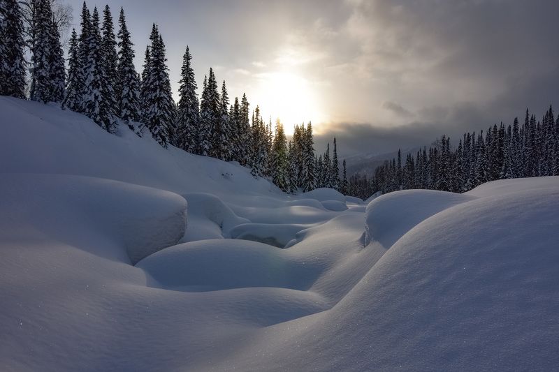россия, хакасия, пейзажи, зима, кузнецкий алатау, казыр, сугробы, снег, ели Зима в Кузнецком Алатауphoto preview
